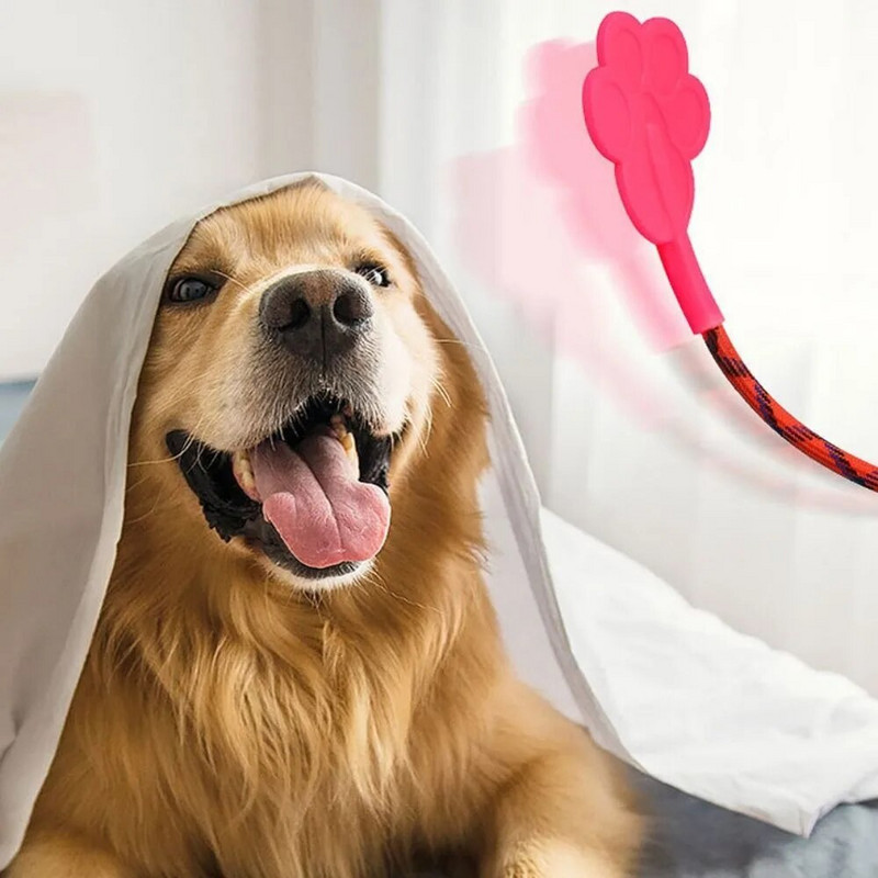 Guminis dresuojamas šuns botagas, suformuotas su virve Treniruoklio lazda, neslystanti rankena, nepažeidžianti šuns šuns elgesio valdymas