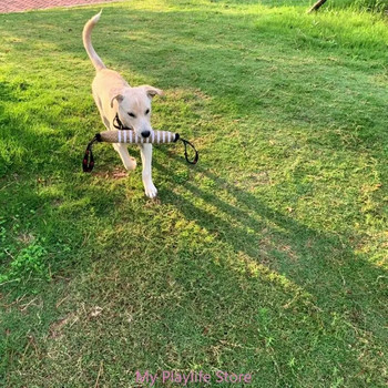 Παιχνίδι για μάσημα σκύλου με σχοινί για επιθετικό μασώμενο σκυλί Ψυχαγωγία με σχοινί οδοντοφυΐας Παιχνίδι Ρυμουλκό σκυλιών Παιχνίδι προμήθειες για κατοικίδια