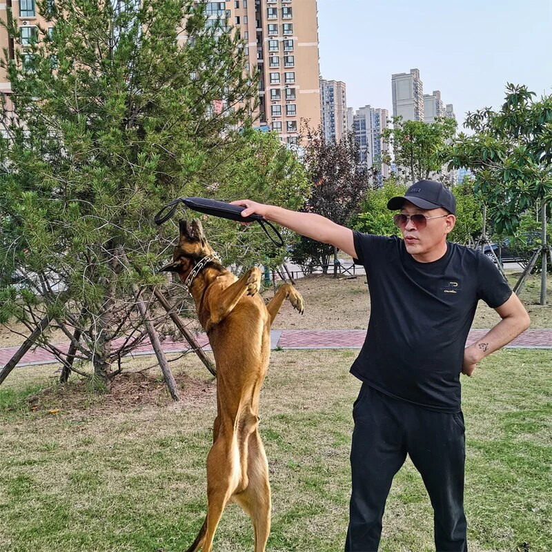 Pet Dog Training Bite Stick Tug Toy Linen K9 Dog Bite Stick Tug Toy за възрастни кучета и кученца за кучета Pet Training Play Throw