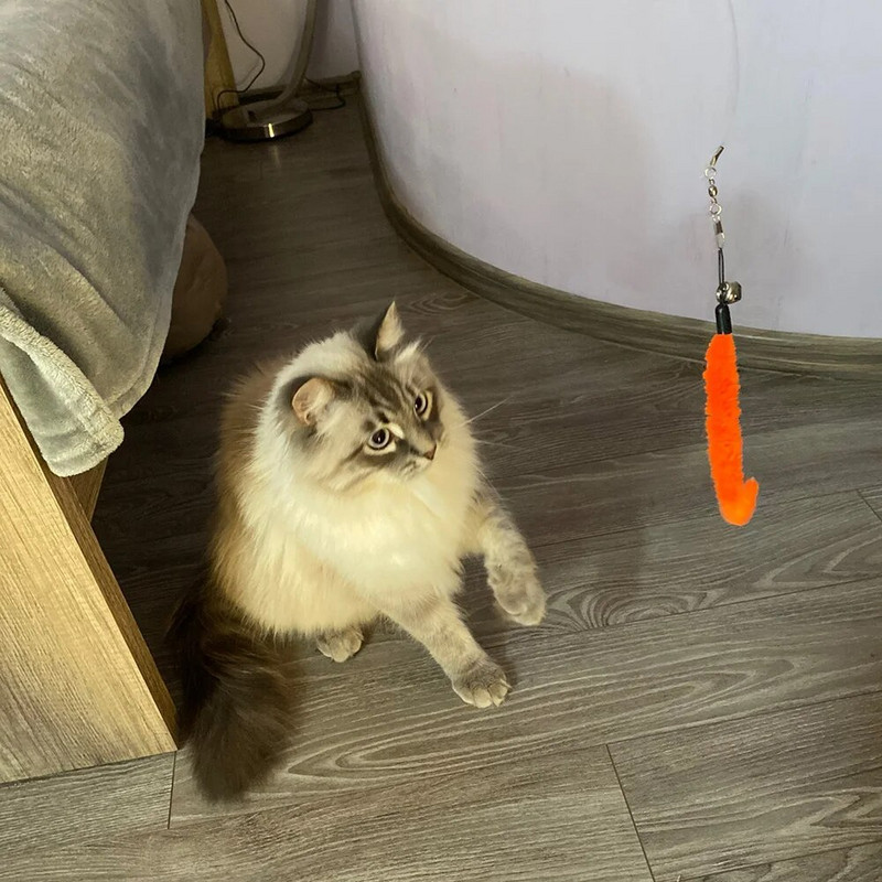 Interaktív macskajáték toll kötekedő pálca, kisállat behúzható tollas csengő utántöltő cserefogó termék macska gyakorlatokhoz