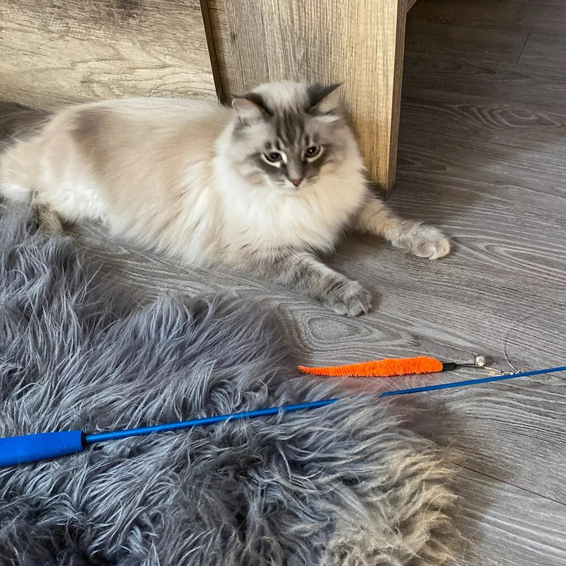 11 db-os macskajáték készletek macskapálca játék, visszahúzható macskatoll játékok és csengős utántöltők, interaktív cicajátékok macskáknak