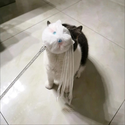 Αστεία διαδραστικά παιχνίδια για γάτες Kawaii βελούδινα λευκή φούντα καμπάνα παιχνίδια με ραβδί γάτα για γατάκι που παίζει Teaser κορδέλα ραβδί παιχνίδια για γάτες προμήθειες