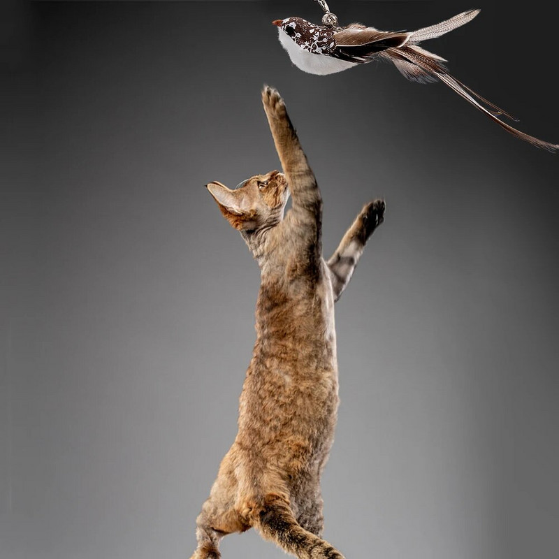 Tapadókorong-szimulációs madár interaktív macskajáték levehető csere tollmadár cica teaser játékhoz Chase Cat Stick játékok