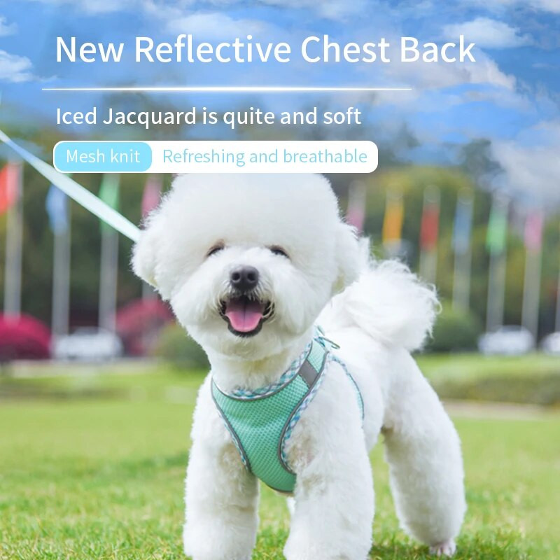 Kutya macska heveder mellény mellkas kötélkészlet Fényvisszaverő, légáteresztő, állítható kisállat hám kis, közepes méretű kutyákhoz, kiskutya szabadtéri sétáltatáshoz
