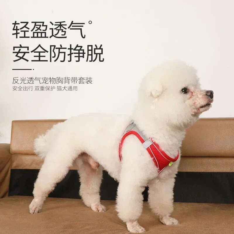 Állítható kölyök- és macskahám Mellény Kutya mellkas Bulldog Chihuahua Kültéri sétálóheveder kutyáknak Kiegészítők Kisállatnyakörv