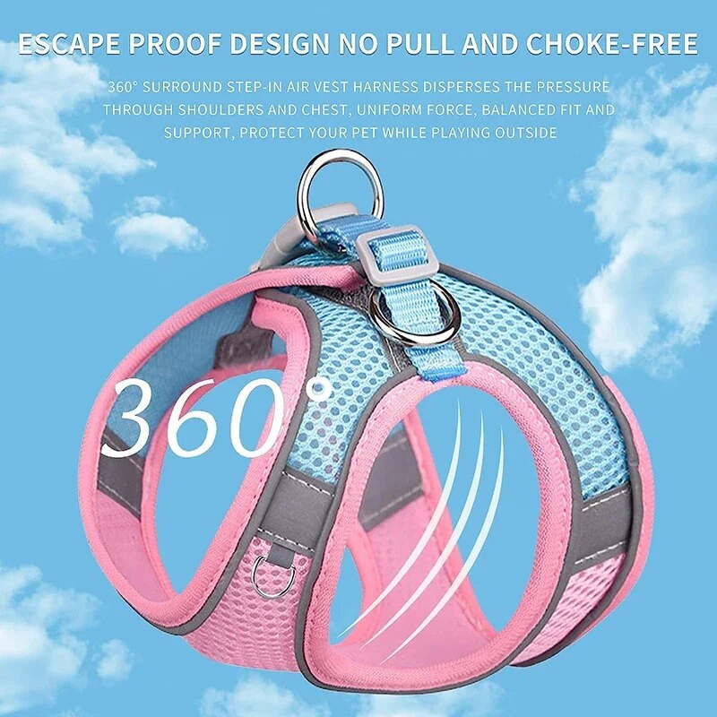 Kutyahám Mellény Macskanyakörvek Kötél Állítható Légáteresztő Hálós Kutya Hám Ruhák Kültéri sétáltatás Kis Közepes Kisállat Kellékek