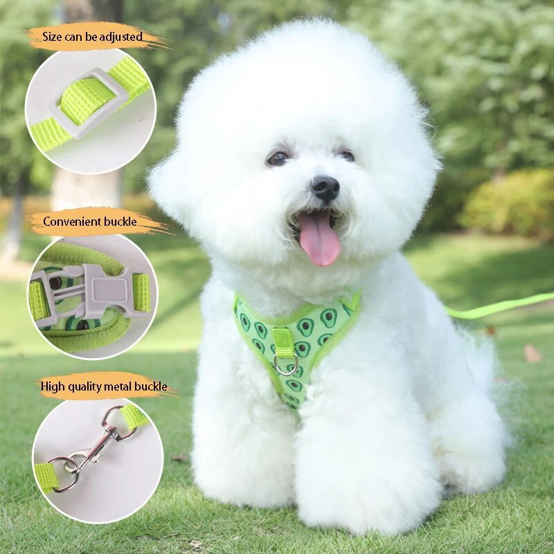 Kutya hám és póráz szett Mellény stílusú kis kutyahám Légáteresztő és állítható hám macskáknak és kölyköknek szabadtéri utazáshoz