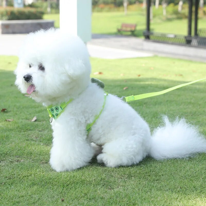 Kutya hám és póráz szett Mellény stílusú kis kutyahám Légáteresztő és állítható hám macskáknak és kölyköknek szabadtéri utazáshoz