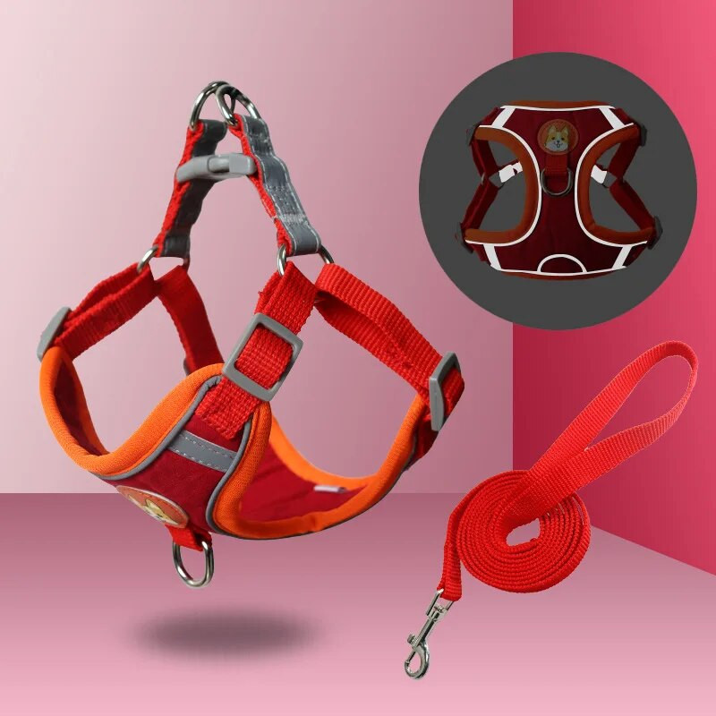 No Pull Pet Dog hám és póráz készlet Állítható kiskutya macska hám mellény Fényvisszaverő sétáló póráz kis kutyáknak Chihuahua