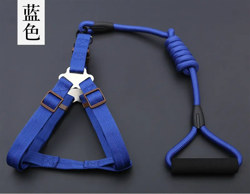 Kis kölyökkutya kutyanyakörv készlet Állítható csatos póráz nagy kutyák hám Chihuahua sétáló póráz kutya kisállat hám mellény