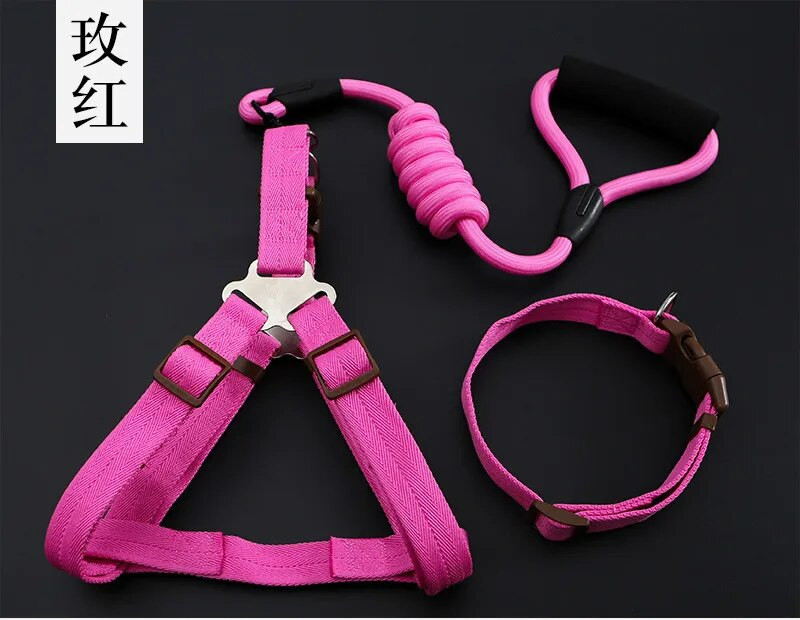 Kis kölyökkutya kutyanyakörv készlet Állítható csatos póráz nagy kutyák hám Chihuahua sétáló póráz kutya kisállat hám mellény