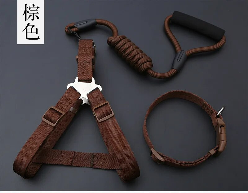 Kis kölyökkutya kutyanyakörv készlet Állítható csatos póráz nagy kutyák hám Chihuahua sétáló póráz kutya kisállat hám mellény