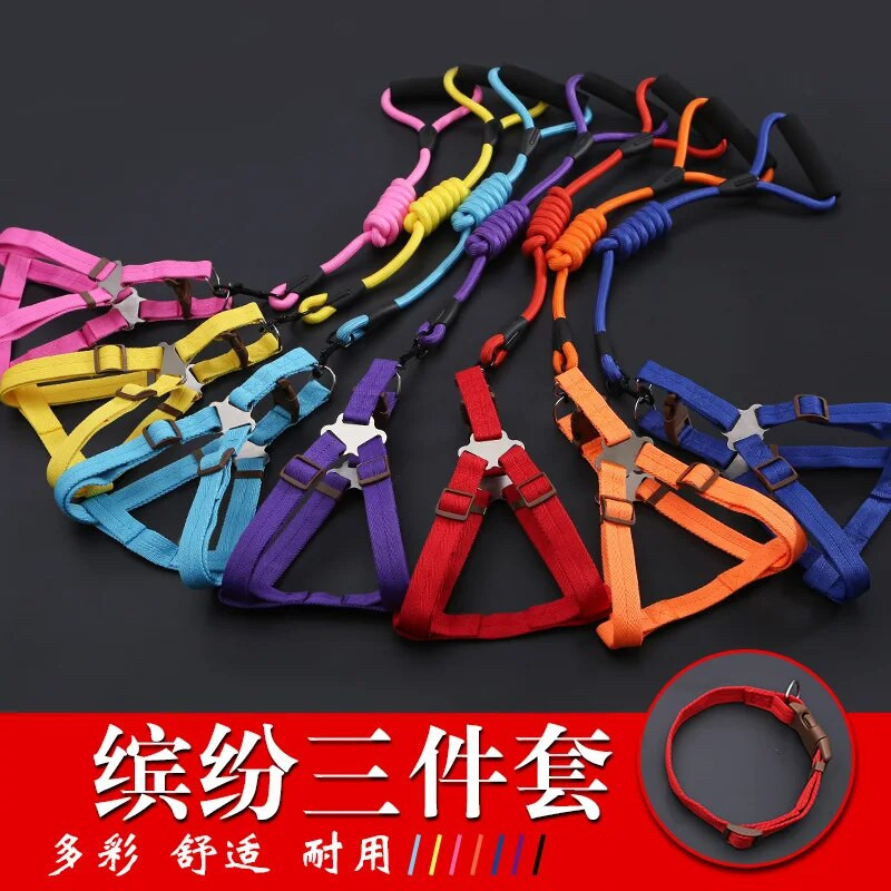 Kis kölyökkutya kutyanyakörv készlet Állítható csatos póráz nagy kutyák hám Chihuahua sétáló póráz kutya kisállat hám mellény