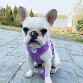 Daisy Embroidery Pet Harness Dogs Strand με Ρυθμιζόμενο λουρί γιλέκο νάιλον λουρί Αναπνεύσιμα περιλαίμια για μικρούς σκύλους Chihuahua