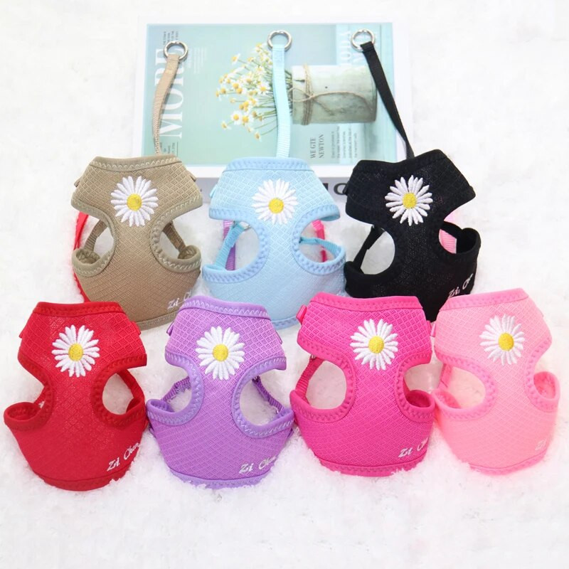 Daisy Embroidery kisállat hám kutyaszíj pórázzal állítható nylon hám mellény lélegző nyakörvek chihuahua kis kutyák számára