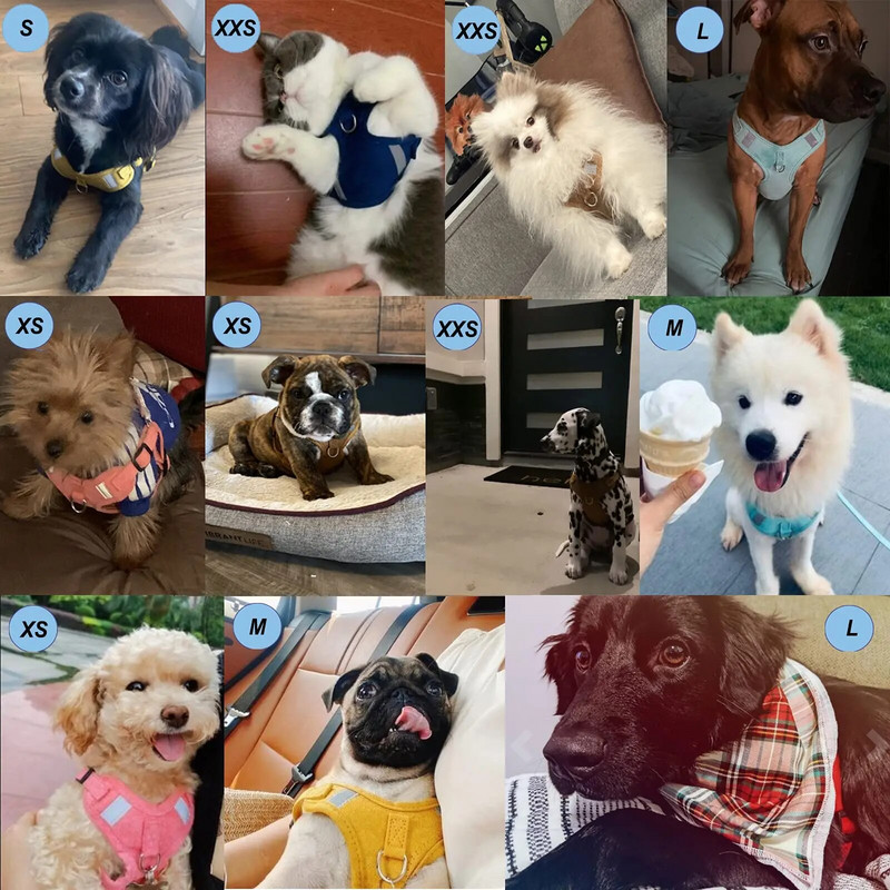 Fényvisszaverő kutyahám, puha, lélegző, állítható kutyahám és póráz készlet kis középső hámhoz, kültéri kisállat-kellékekhez