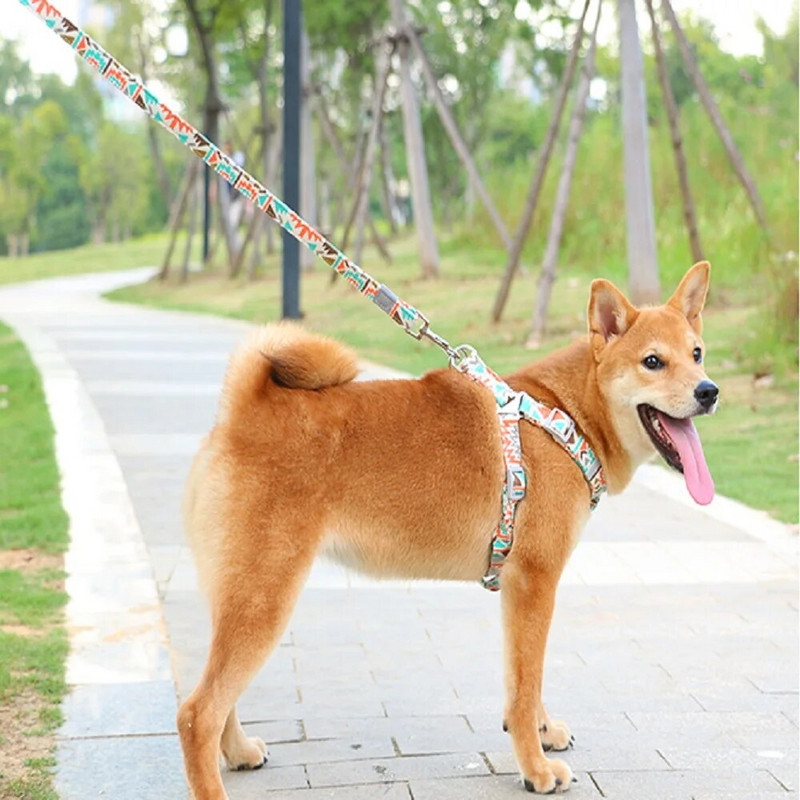 Bohém nemzeti stílusú állítható kutyahám NO PULL Lélegző kisállathám kutyamellényhez kültéri sétáltatás Arnes Perro Chien