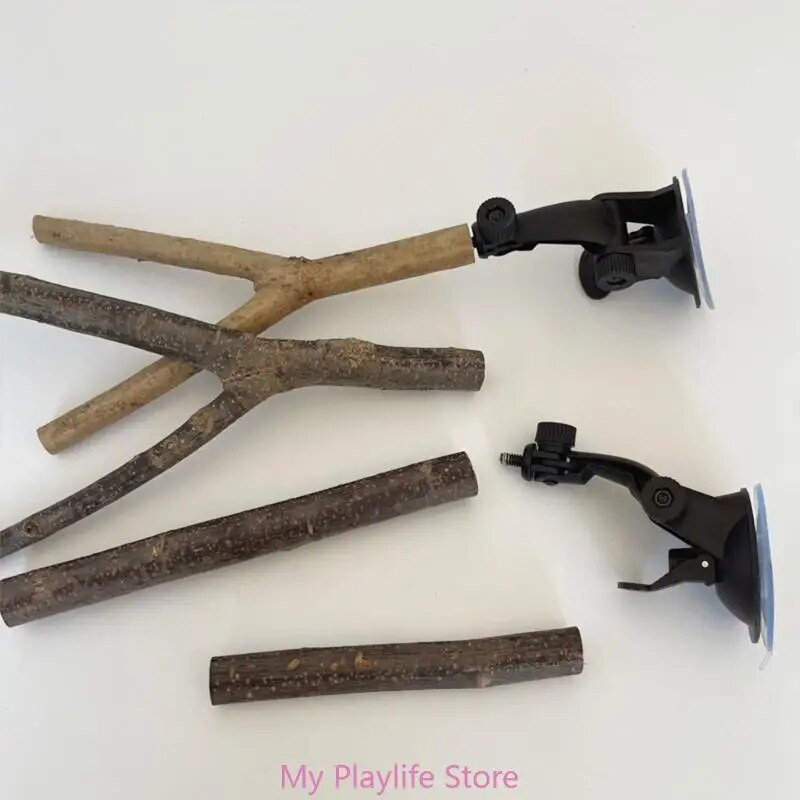 Madársügér játék Madárketrec Sügér állvány szívókorong Álló sügér Papagájok Sügér Kerec Tartozékok Conures Lovebirds Kakadukhoz