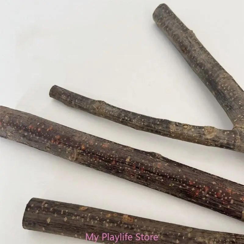 Madársügér játék Madárketrec Sügér állvány szívókorong Álló sügér Papagájok Sügér Kerec Tartozékok Conures Lovebirds Kakadukhoz