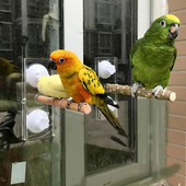 Pet Birds Parrot Perches Toys Ξύλινο Πλαίσιο Στήριξης Outing Φορητό σταντ μπάνιου αυτοκινήτου με βεντούζα παπαγάλος παιχνίδι