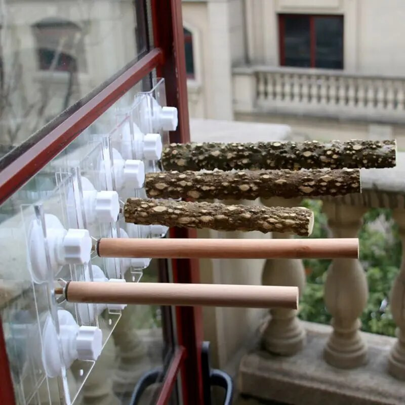 Kisállat madarak papagáj ülőrudak játékok tartó fa tartókeret kirándulási hordozható autós fürdőállvány tapadókoronggal Papagáj játék