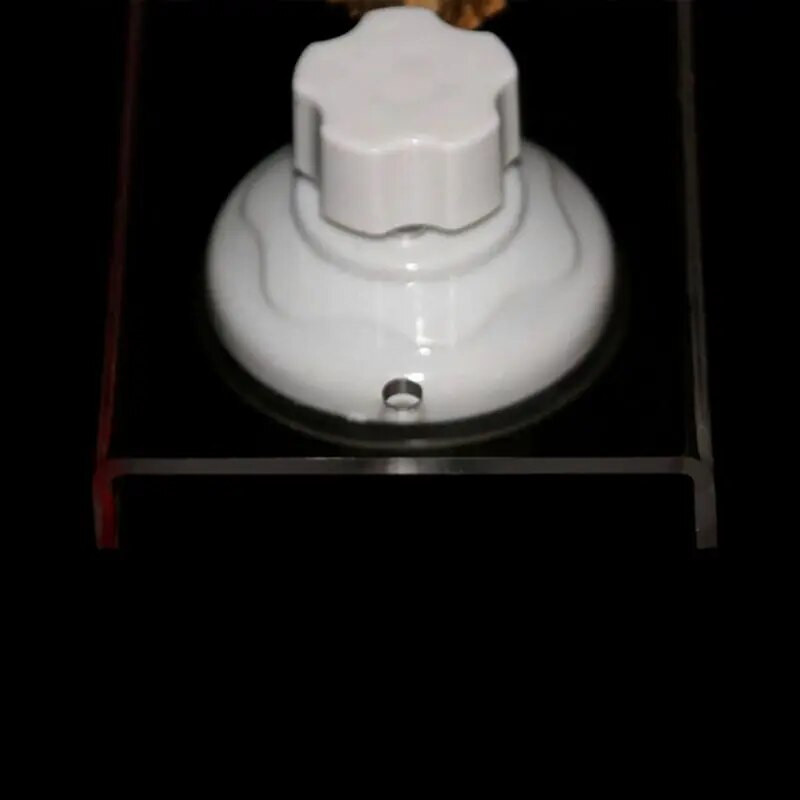 Kisállat madarak papagáj ülőrudak játékok tartó fa tartókeret kirándulási hordozható autós fürdőállvány tapadókoronggal Papagáj játék