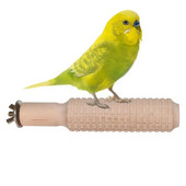 Chick Toys For Brooder Standing Pole Stick For Bird Wood Bird Training Stand Bird Roosts Bar Window Perch Bird Accessories For