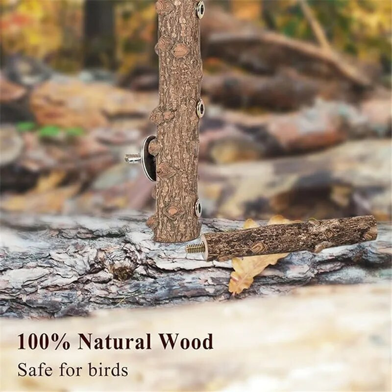 Papagájok kellékek Madárállvány Fa kisállat papagáj nyers fa villa faág állvány mókus madár hörcsög ág Madár élőhelye