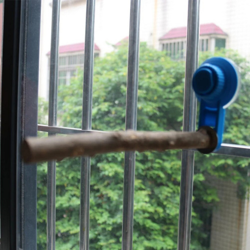 Papagáj sügér fa állvány Madárketrec Sügér tartozékok tapadókorongos állóállvány papagájokhoz Kakas ara