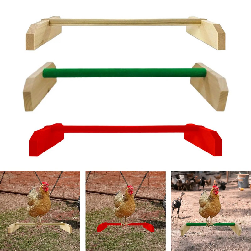 basszusgitár, papagáj játszóállvány, szórakoztató és edzőjátékok,