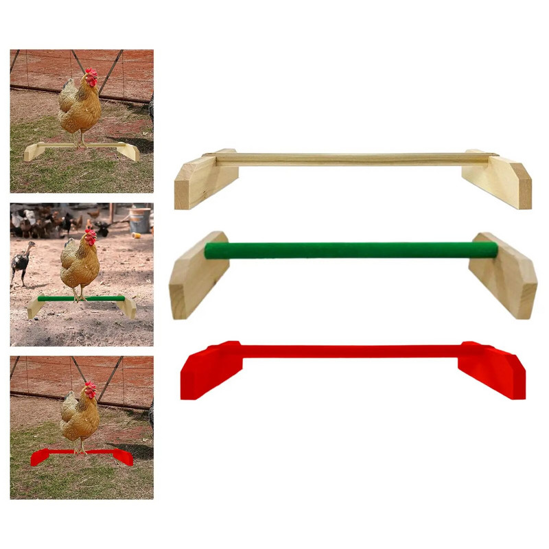 basszusgitár, papagáj játszóállvány, szórakoztató és edzőjátékok,