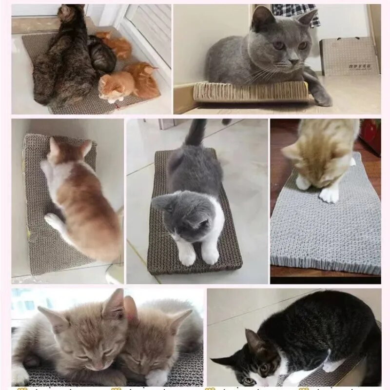 Kisállat macska karcoló hullámkarton csiszoló karmos lemez + macskagyökér papírlap mászókeret kaparó szőnyeg Macska karton macskajátékok