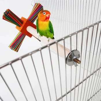 Дървена стойка за птици Кацалка Естествена дива лапа Шлифовка Стояща играчка за катерене Аксесоари за клетка за малък и среден папагал
