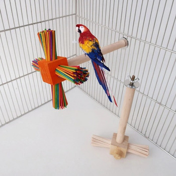 Дървена стойка за птици Кацалка Естествена дива лапа Шлифовка Стояща играчка за катерене Аксесоари за клетка за малък и среден папагал