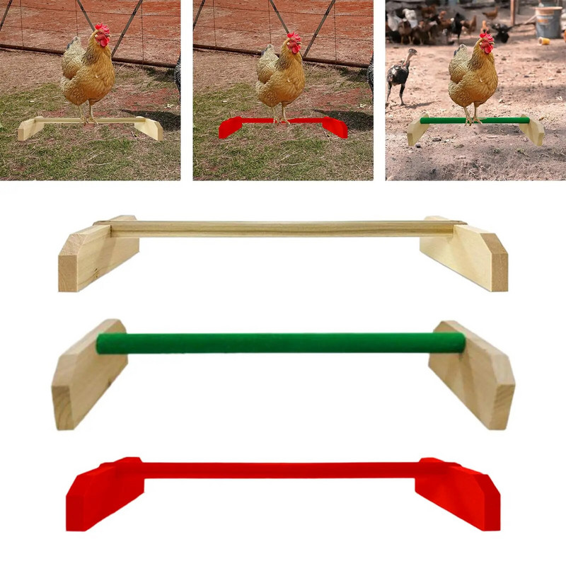 basszusgitár, papagáj játszóállvány, szórakoztató és edzőjátékok,