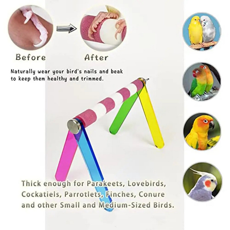 Madárpapagáj játszóállvány Hordozható, színes, könnyen összeszerelhető oktatósügér madarak kellékei papagájokhoz Conure