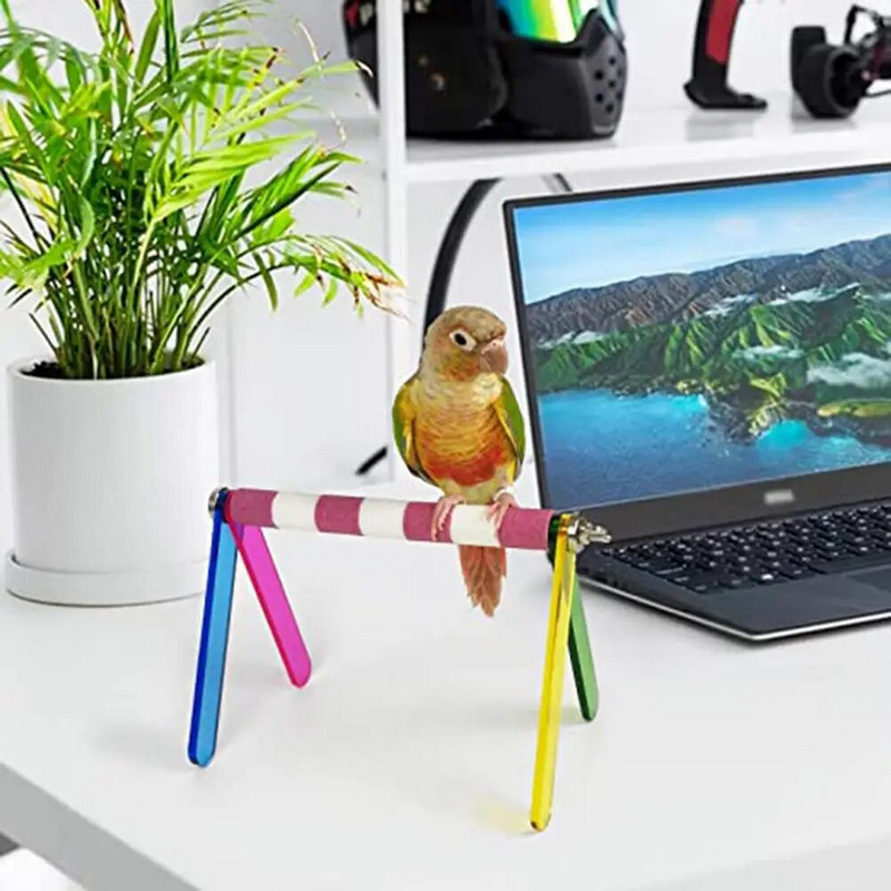 Madárpapagáj játszóállvány Hordozható, színes, könnyen összeszerelhető oktatósügér madarak kellékei papagájokhoz Conure