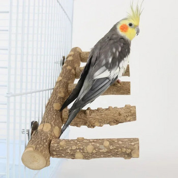 Parakeet Stand Πιρούνι Αξεσουάρ Paw Parrot Perches Natural Branch Cage Grinding Bird Climb Ladder Toys Wood