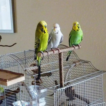 Βάση πουλιών Ξύλινη Πέρκα Φυσικό Ξύλο Standing Bar Μη τοξικό Parrot Chew