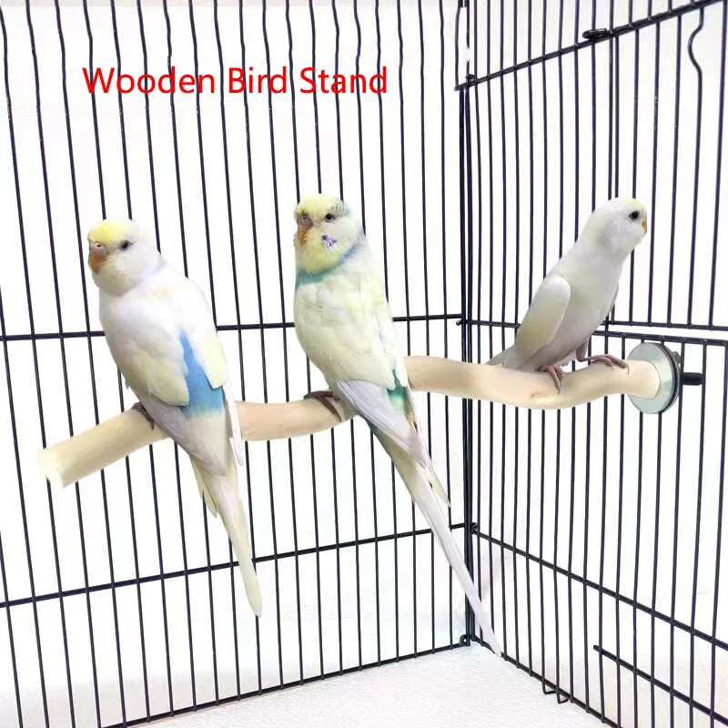 Természetes fa kisállat papagáj nyers fa villa faág állvány állvány mókus madár hörcsög ág ülőrudak rágóharapás játékok bot