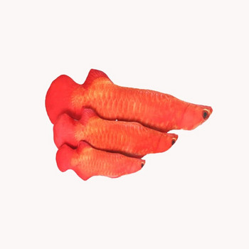 Παιχνίδι γάτας Εκπαίδευση Διασκέδαση Ψάρια βελούδινα γεμιστά μαξιλάρια 20 εκ. Προσομοίωση Fish Cat Toy Fish Διαδραστικά Pet Chew Toy Pet Supplies