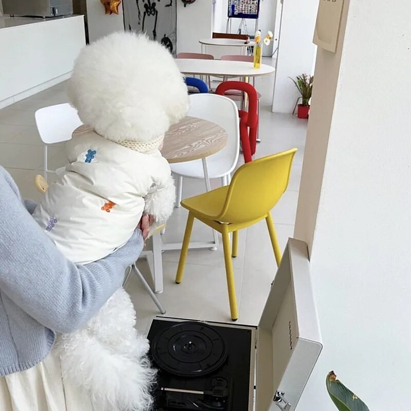 Fehér Teddy pamut kabát téli meleghez kölyökruha Schnauzer állatmintás pehelykabát Kényelmes gombos ruhák