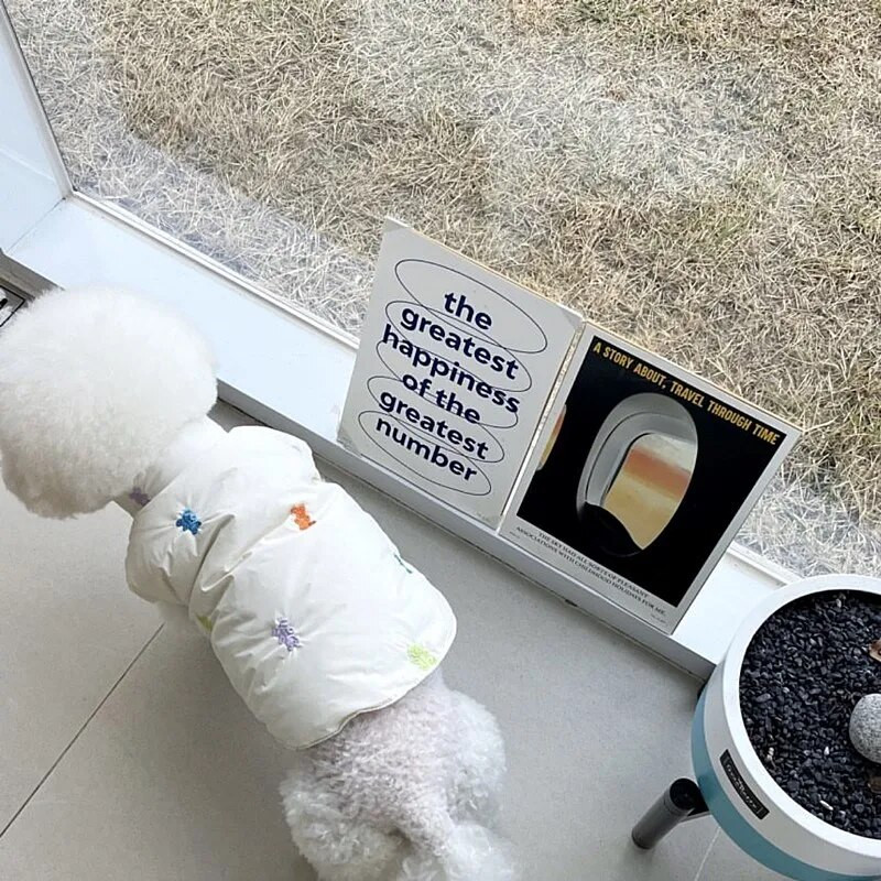 Fehér Teddy pamut kabát téli meleghez kölyökruha Schnauzer állatmintás pehelykabát Kényelmes gombos ruhák