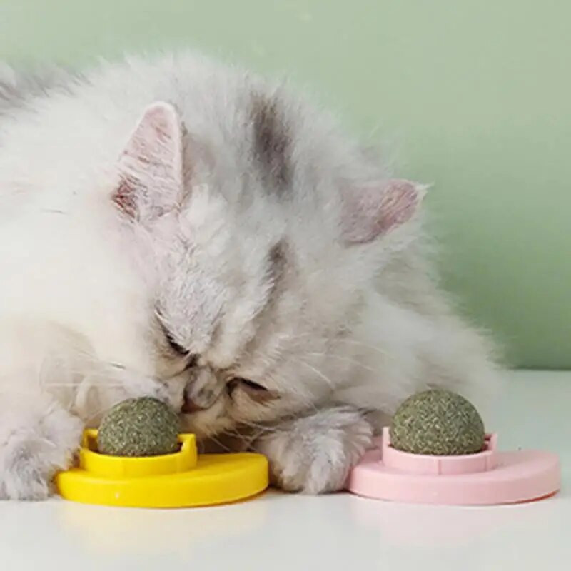 Macskák Játékok Macska Menta Labdaforgatás Macskagyökér fali labda nyalás snack