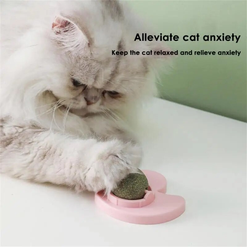 Macskák Játékok Macska Menta Labdaforgatás Macskagyökér fali labda nyalás snack