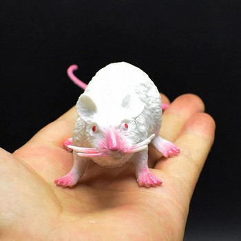 Ψεύτικος μικρός αρουραίος ρεαλιστικό μοντέλο ποντικιού Στήριγμα Τρομακτικό κόλπο Φάρσα Παιχνίδι φρίκης διακόσμηση αποκριάτικων πάρτι Πρακτικά ανέκδοτα Καινοτομία αστεία παιχνίδια