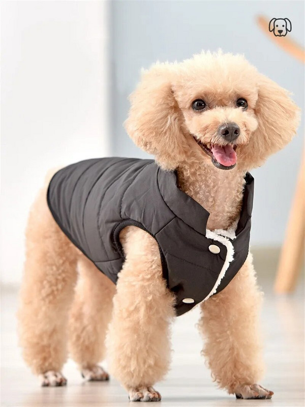 Tiszta pamut francia bulldog pehelykabát, újévi nyomtatás, kölyök kezeslábas, vastag mellény kis közepes méretű kutyáknak Téli macskaruházat