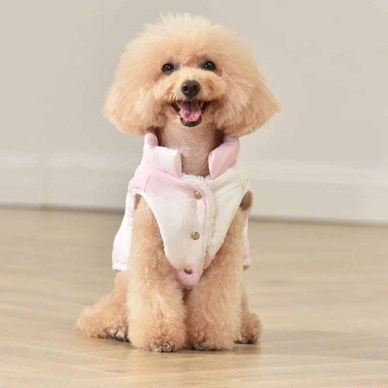 Tiszta pamut francia bulldog pehelykabát, újévi nyomtatás, kölyök kezeslábas, vastag mellény kis közepes méretű kutyáknak Téli macskaruházat