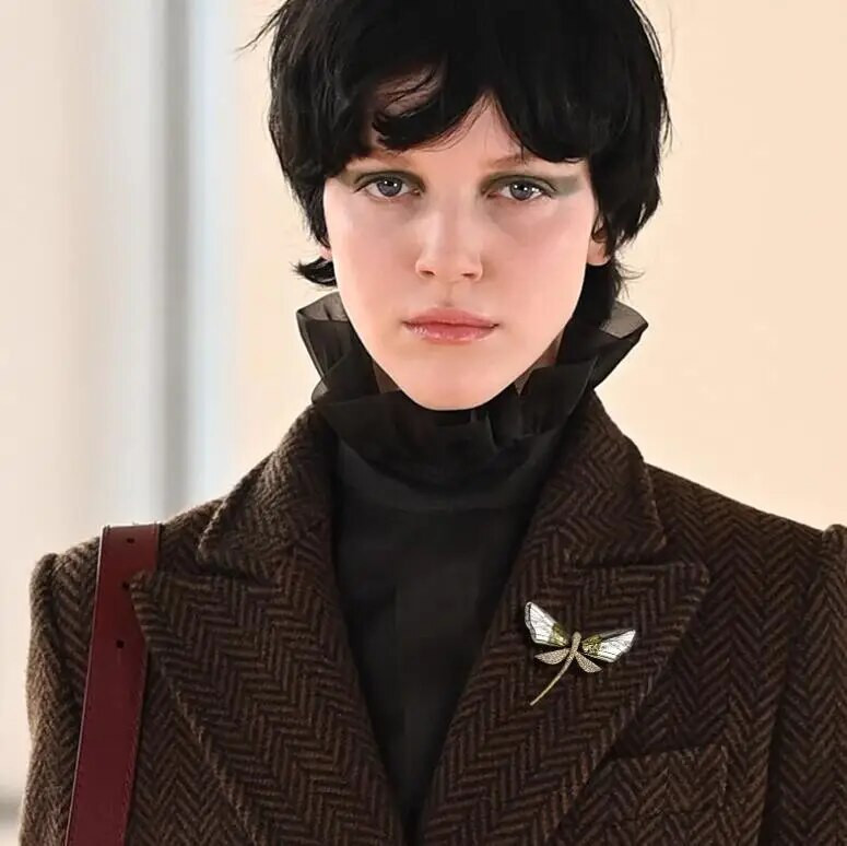 Καρφίτσες με στρας Dragonfly για γυναίκες Κομψή ιδιοσυγκρασία Καρφίτσες καρφίτσας με έντομα Γούρι Κοσμήματα Δώρα γάμου