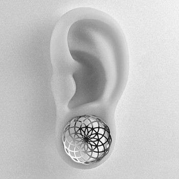 Doearko 2PCS Flower Ear prigs Ανοξείδωτα Τούνελς Φορείο 8mm-25mm Body Piercing Fashion Jewelry Δώρο